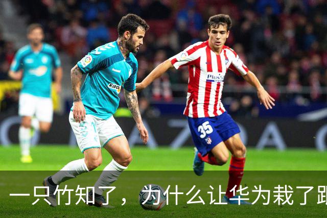 一只竹知了，为什么让华为栽了跟头？