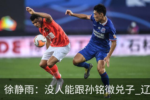 徐静雨：没人能跟孙铭徽兑子 辽宁想赢太难了