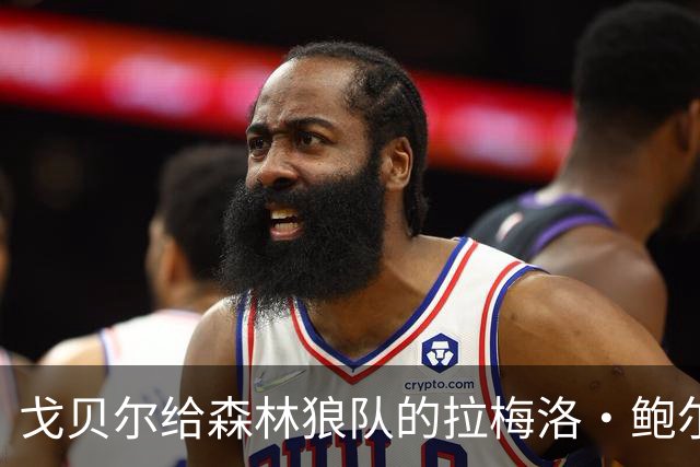 戈贝尔给森林狼队的拉梅洛·鲍尔的建议基本上是，让他冷静下来