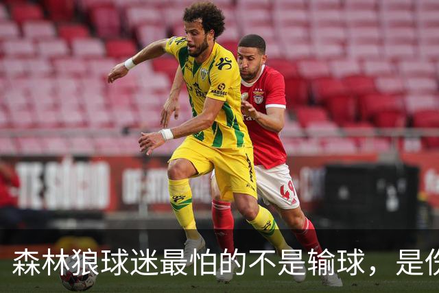 森林狼球迷最怕的不是输球，是伤病：一次投票投出了真心话