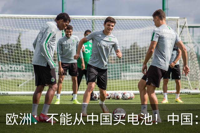 欧洲：不能从中国买电池！中国：收到，那我把整个电池厂搬过来！