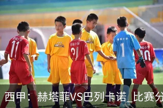 西甲：赫塔菲VS巴列卡诺 比赛分析