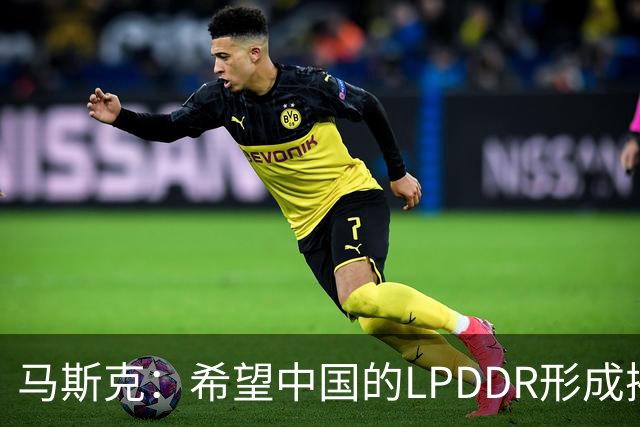马斯克：希望中国的LPDDR形成摧枯拉朽之势